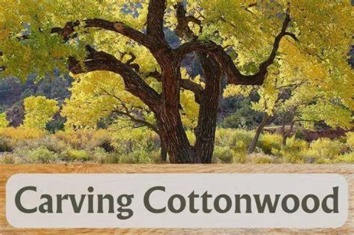 Is cottonwood good for carving?
