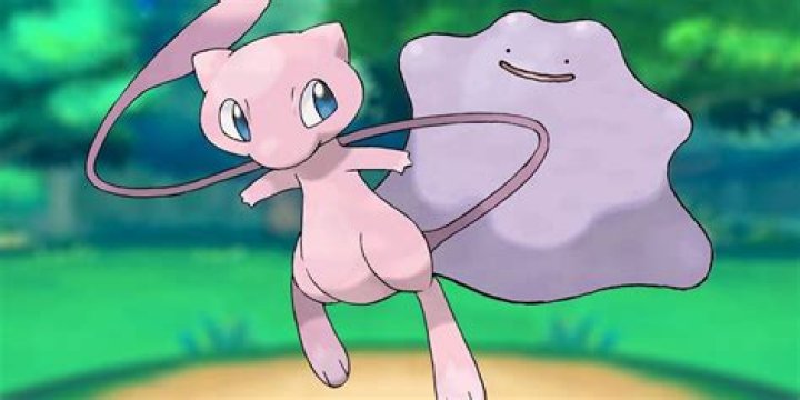 Is Ditto a failed clone of Mew?