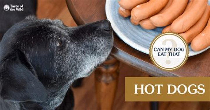 Is eating hot dogs healthy?