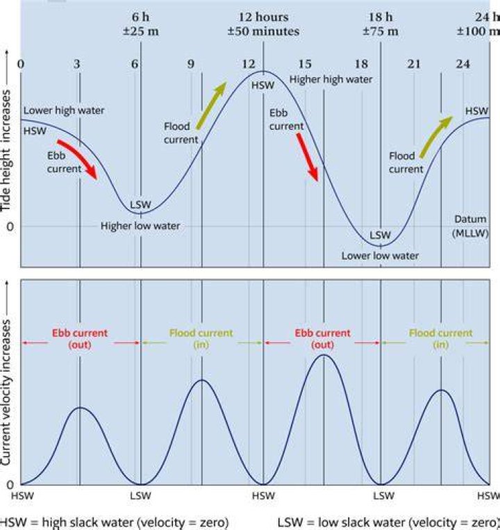 Is ebb high or low tide?