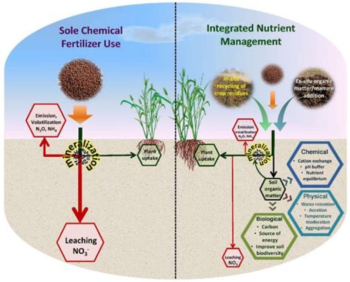 Is gypsum an organic fertilizer?
