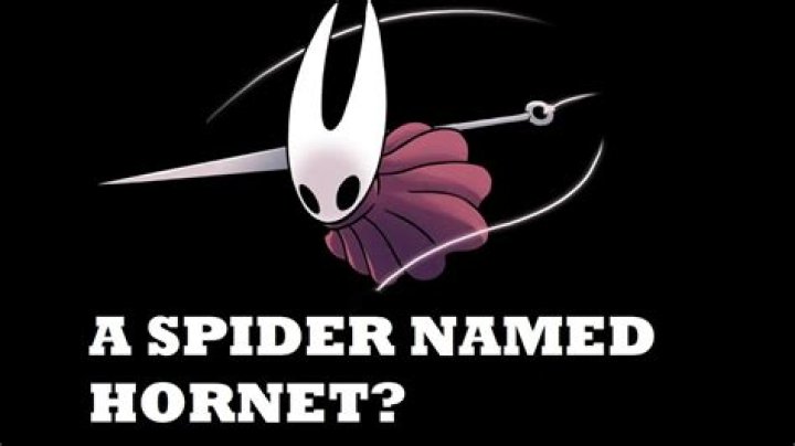 Is Hornet a spider?