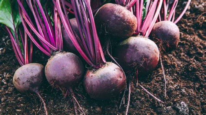 Is it better to peel beets hot or cold?