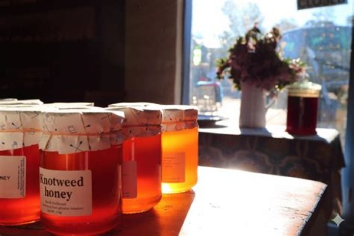 Is it good to eat honey before bed?