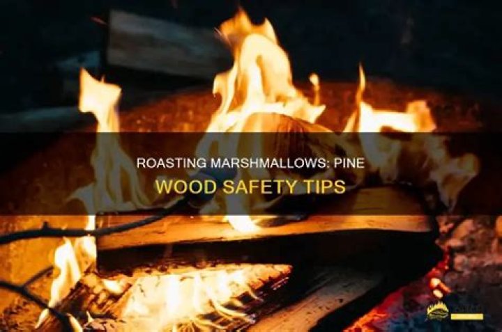 Is it safe to roast marshmallows over pine wood?