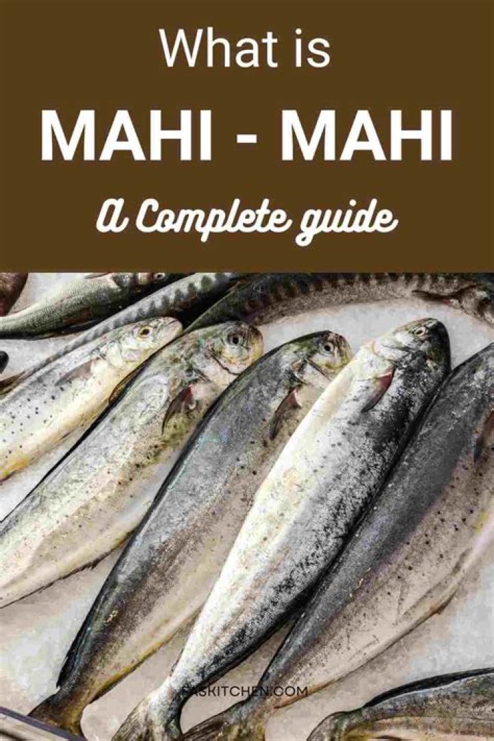 Is mahi-mahi the same as tuna?