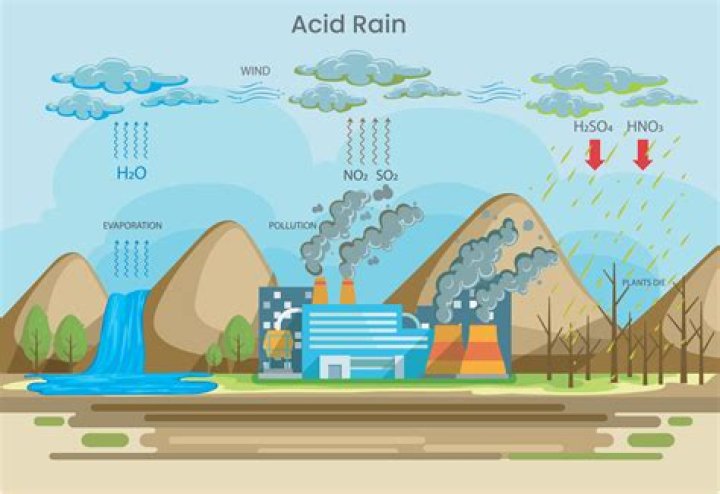 Is rain water acidic or alkaline?