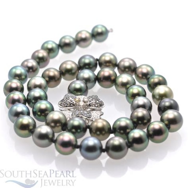 Is Tahitian Pearl South Sea pearl?