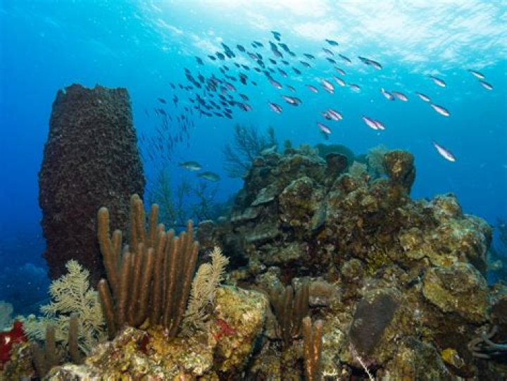 Is the water pretty in Belize?