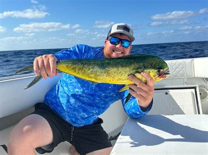 Is there mahi mahi in the Gulf Coast?