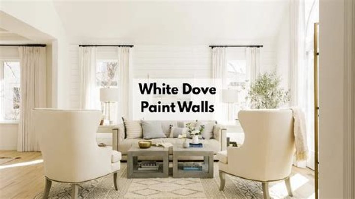 Is white Dove good for ceilings?