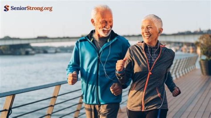 Should a 70 year old get a dog?