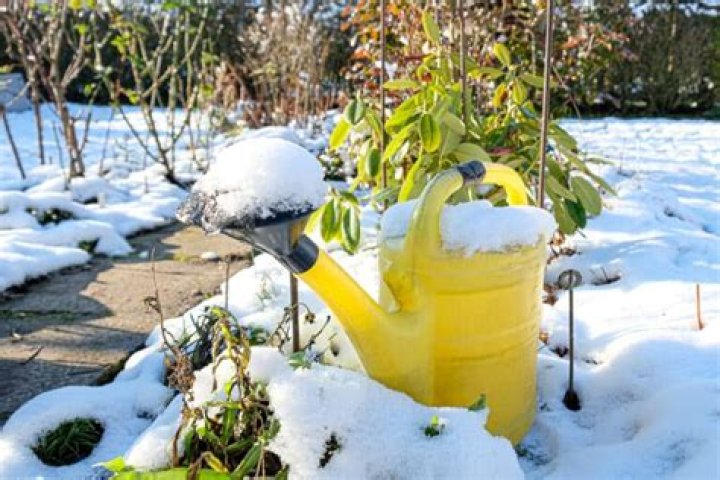 Should I fertilize before winter?
