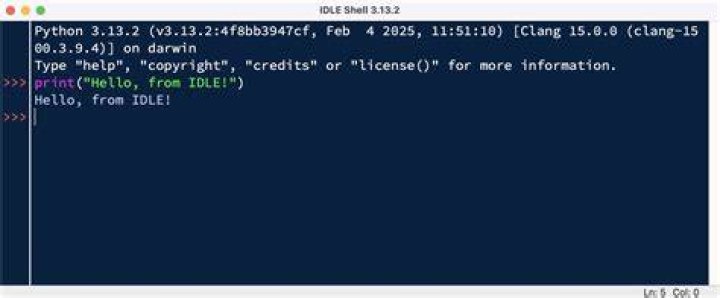 Should I use Python IDLE or PyCharm?
