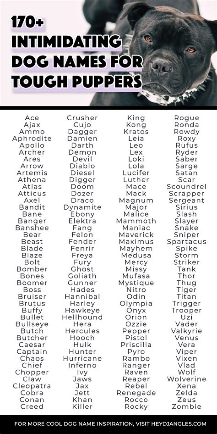 What are intimidating dog names?