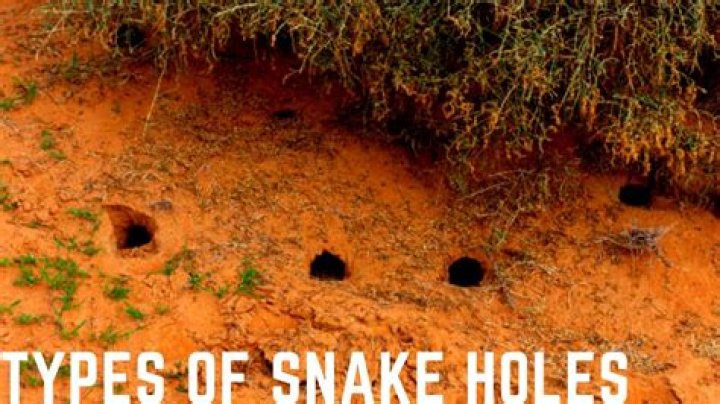 What are snake holes?