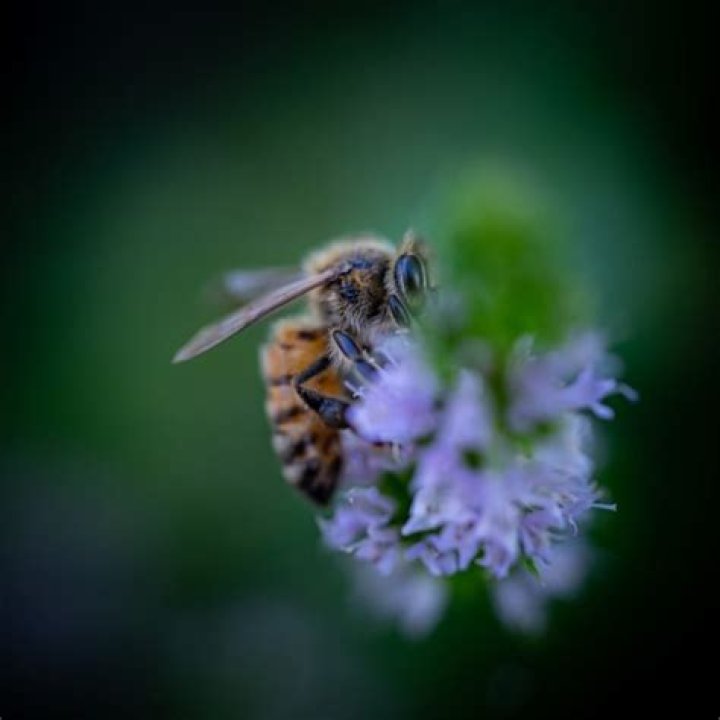 What are the 3 elements of photography?