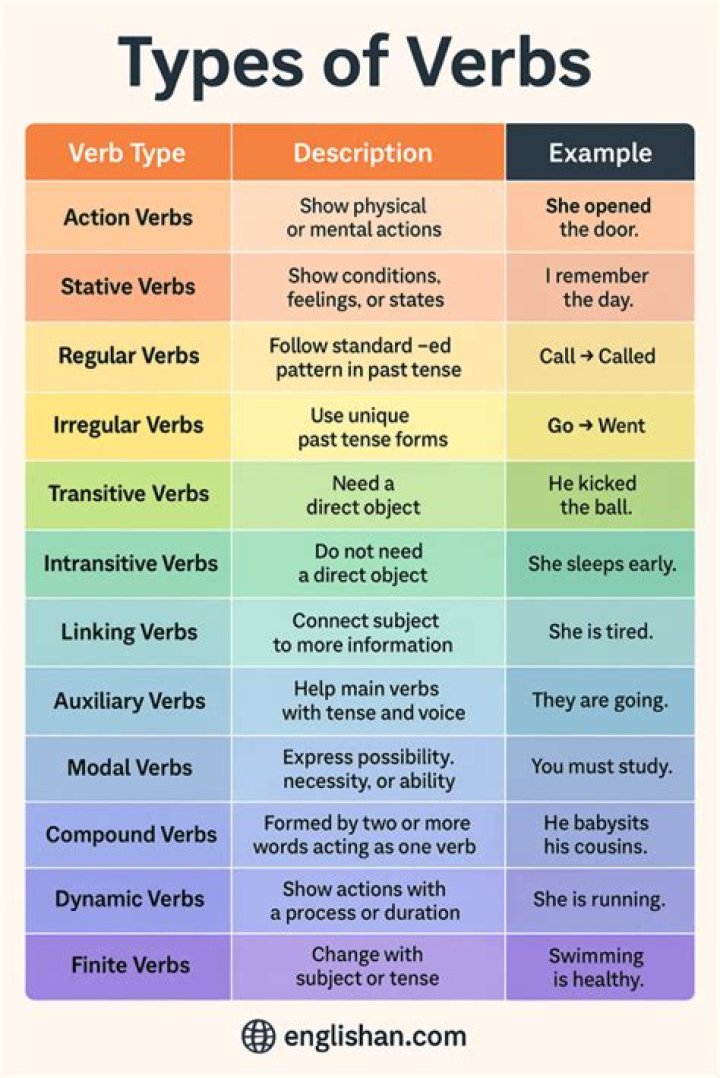 What are the 3 types of verb?