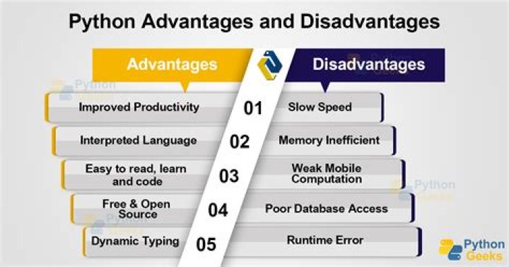 What are the disadvantages of Python?
