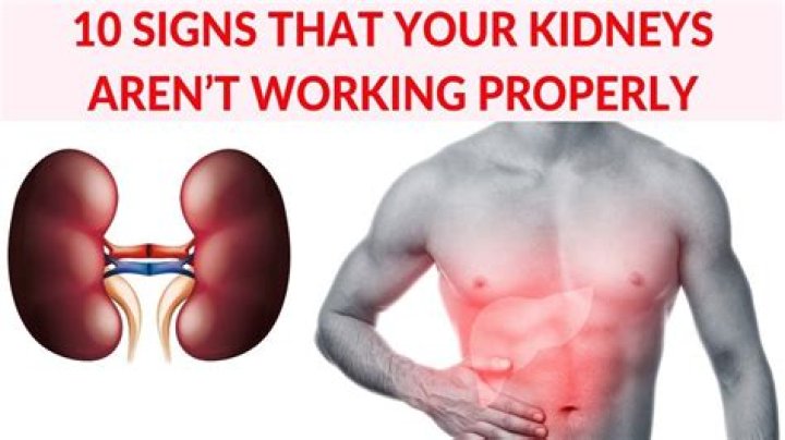 What are the signs of kidneys not working properly?