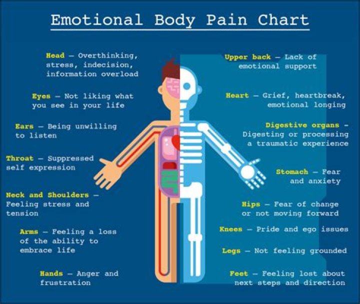 What are the signs of pain in a horse?