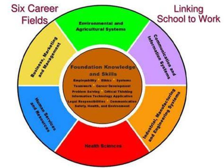 What are the six career fields?