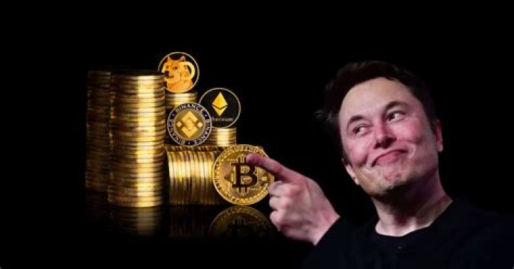 What Bitcoin does Elon Musk own?