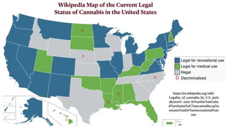 What cheese is illegal in the US?