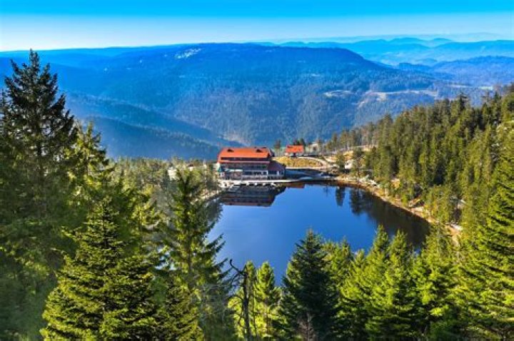 What city is closest to the Black Forest?