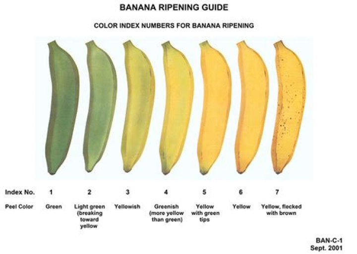 What color is a banana?