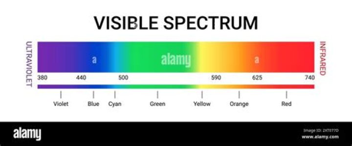 What color is most visible on the ocean?