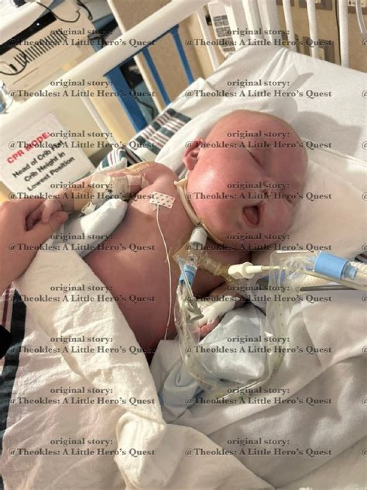 What Comes After passing the baby bar?