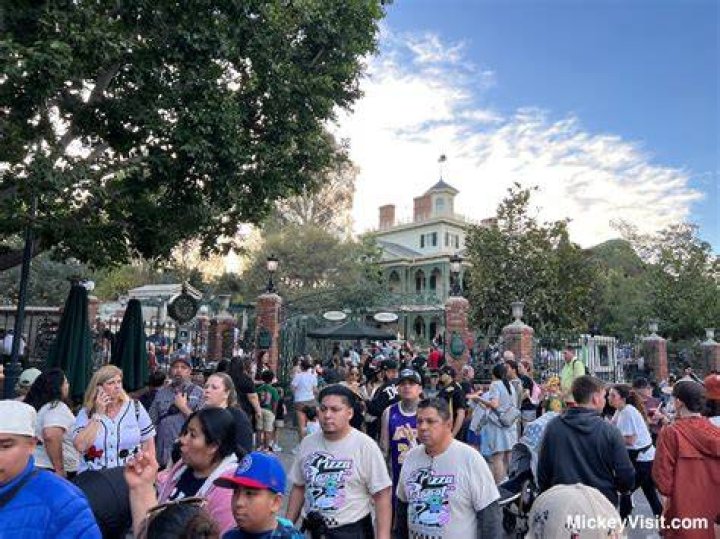 What day is Disneyland least busy?