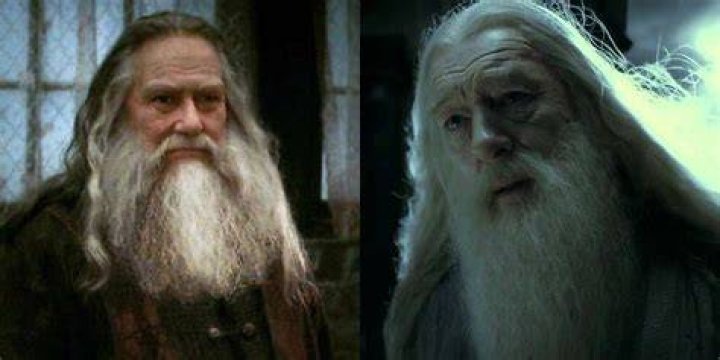 What did the Muggles do to Ariana Dumbledore?