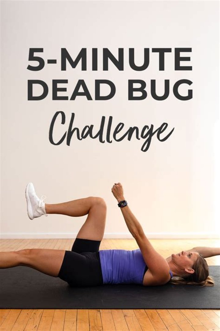 What do bugs do when they see a dead bug?