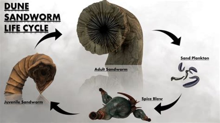 What do the worms in Dune eat?