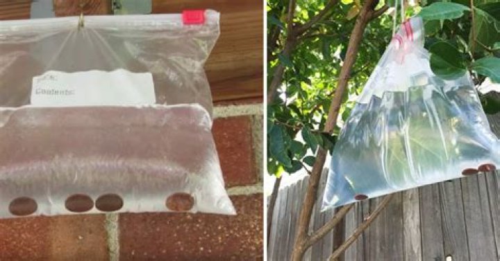 What does a bag of water over a door mean?