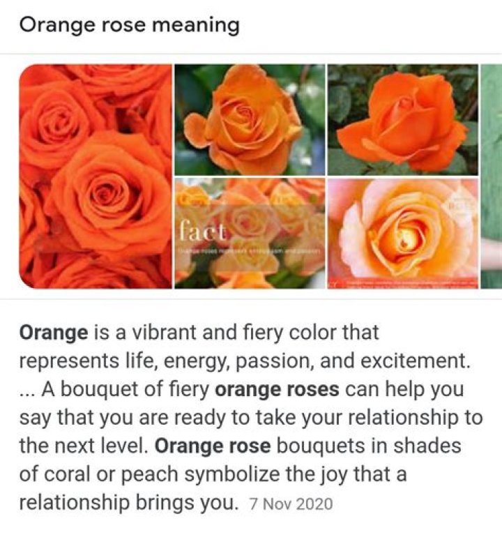 What does a orange rose mean at a funeral?