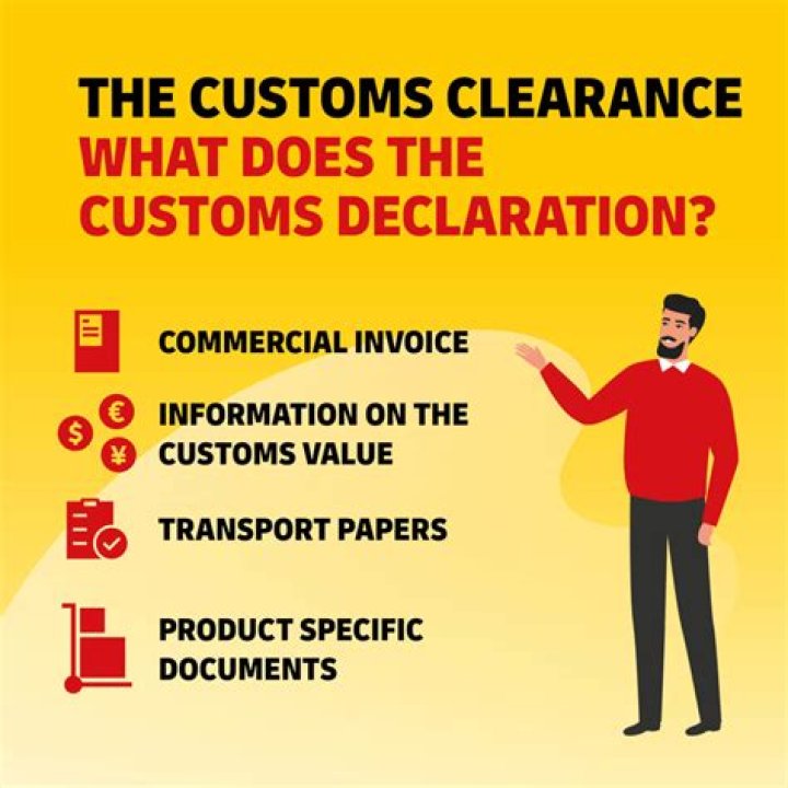 What does clearance delay mean DHL?