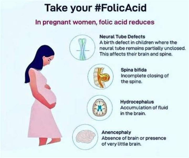 What does folic acid do for pregnancy?