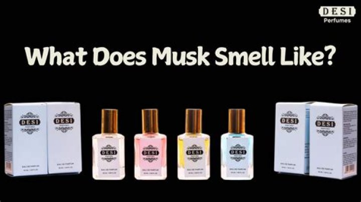 What does golden musk smell like?