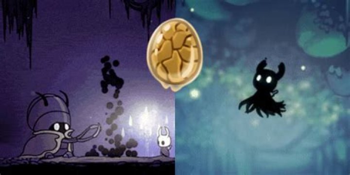 What does Jiji do in Hollow Knight?