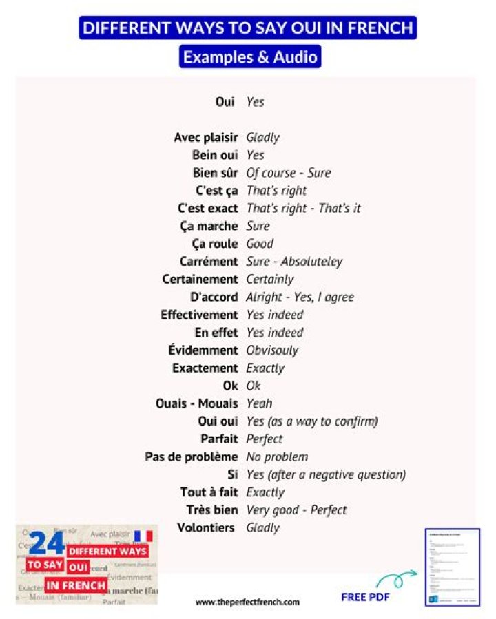 What does OUI mean?