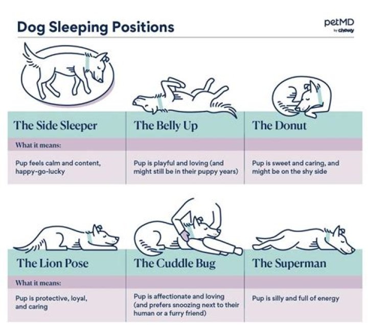 What does sleeping bum to bum mean?
