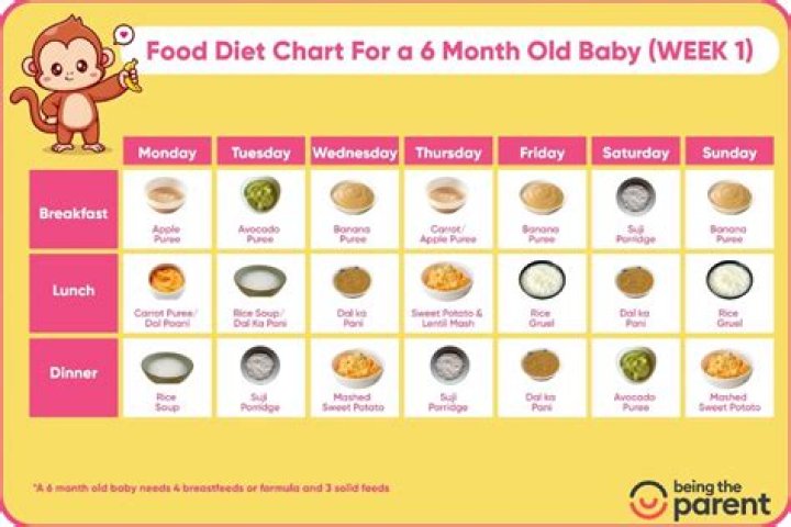 What fruit is good for 6 month old?