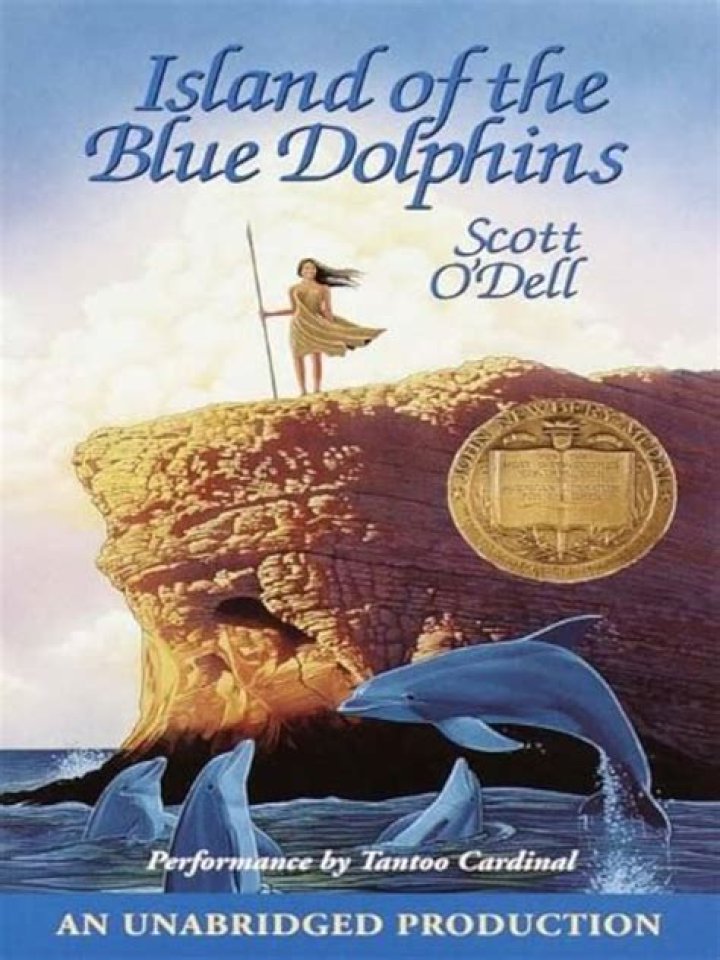What happened in chapter 22 of Island of the Blue Dolphins?