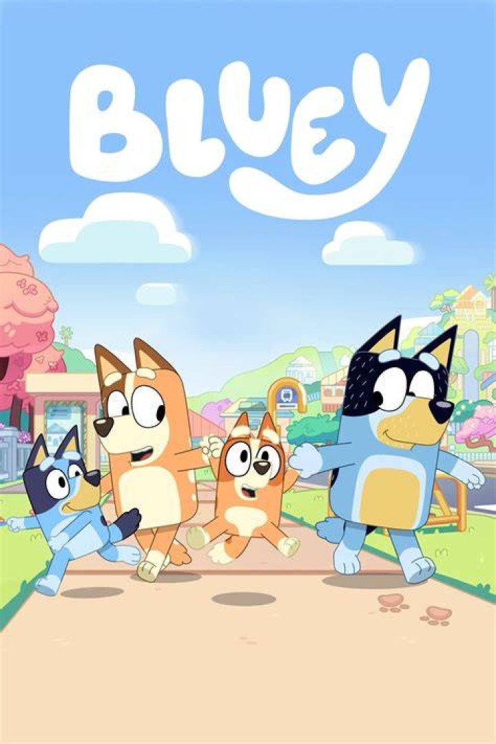 What is a bluey in Australia?