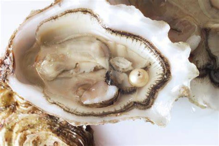 What is a golden pearl?