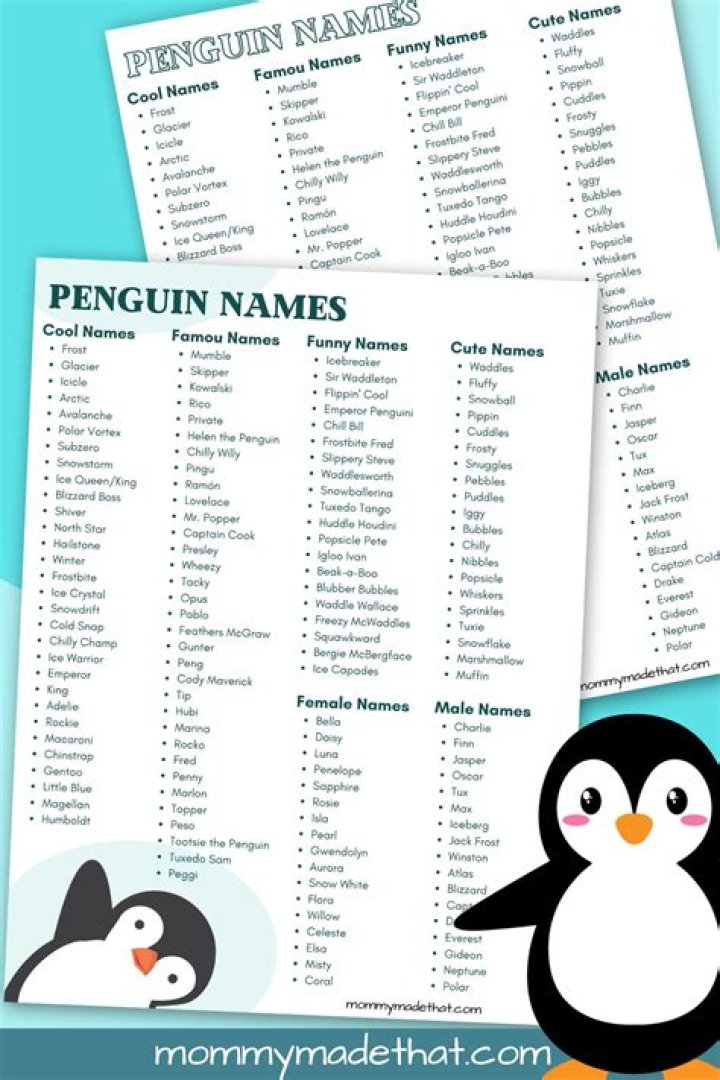 What is a good name for a girl bird?