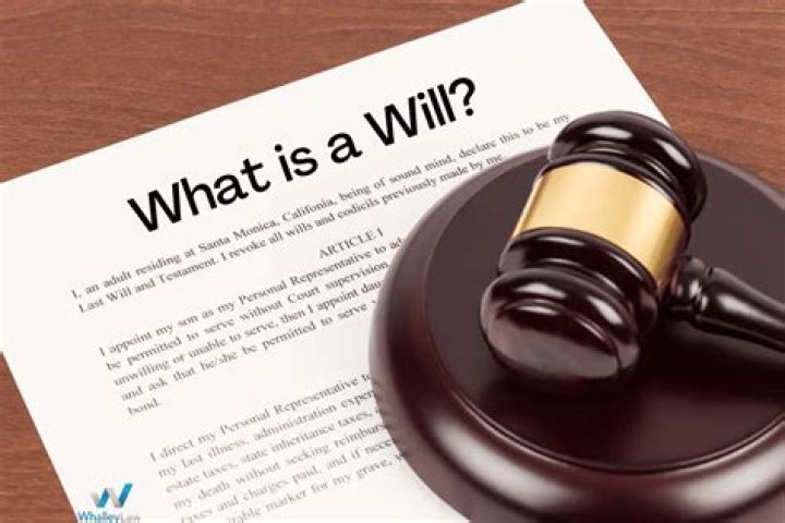 What is a will in law?